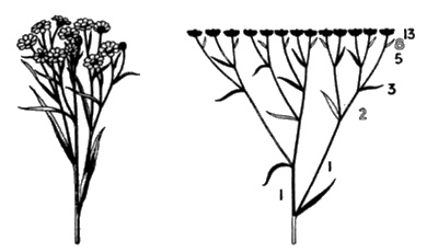 Иллюстрация к книге — Сверхбоги. Они спасли человечество... [i_143.jpg]
