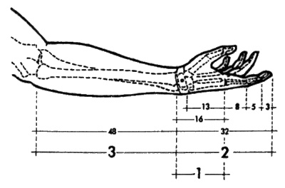 Иллюстрация к книге — Сверхбоги. Они спасли человечество... [i_148.jpg]