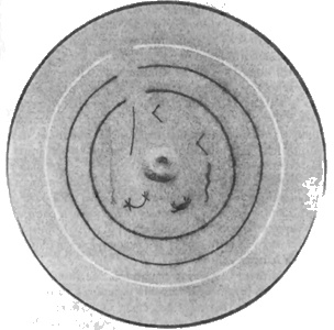 Иллюстрация к книге — Боги с небес [i_053.jpg]