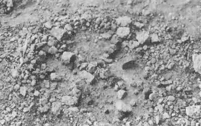 Иллюстрация к книге — Боги с небес [i_055.jpg]