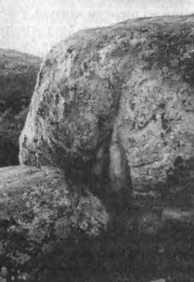 Иллюстрация к книге — Боги с небес [i_057.jpg]