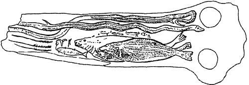 Иллюстрация к книге — Боги с небес [i_070.jpg]