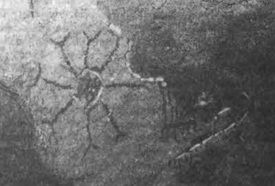 Иллюстрация к книге — Боги с небес [i_089.jpg]