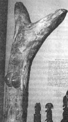 Иллюстрация к книге — Боги с небес [i_092.jpg]