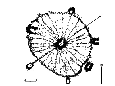 Иллюстрация к книге — Боги с небес [i_111.jpg]