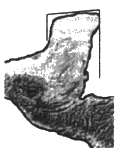 Иллюстрация к книге — Боги, построившие пирамиды. Египет до фараонов [i_041.jpg]