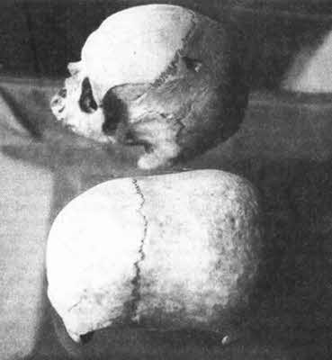 Иллюстрация к книге — Боги, построившие пирамиды. Египет до фараонов [i_066.jpg]