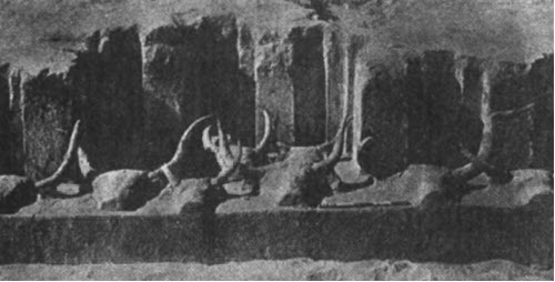 Иллюстрация к книге — Боги, построившие пирамиды. Египет до фараонов [i_071.jpg]