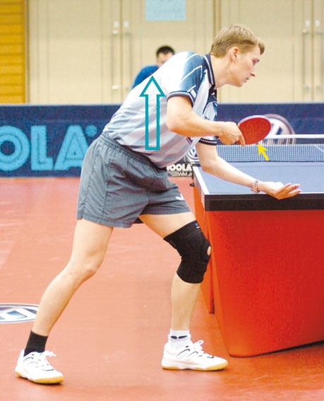 Иллюстрация к книге — Настольный теннис. Руководство от чемпиона мира [i_015.jpg]