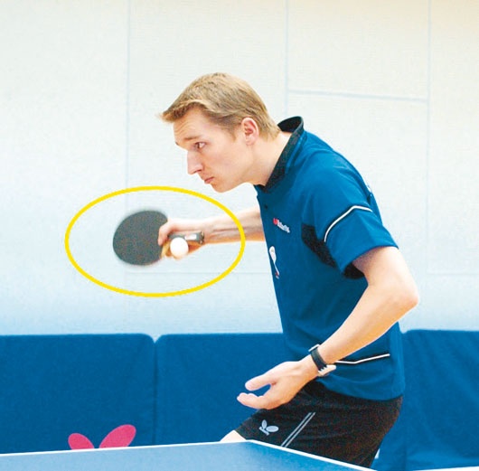 Иллюстрация к книге — Настольный теннис. Руководство от чемпиона мира [i_027.jpg]