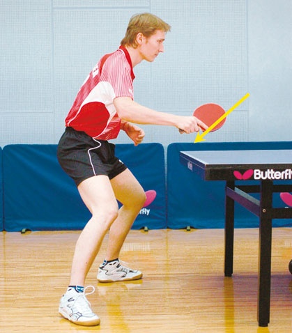 Иллюстрация к книге — Настольный теннис. Руководство от чемпиона мира [i_062.jpg]