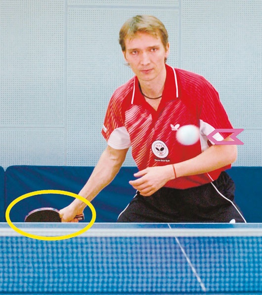Иллюстрация к книге — Настольный теннис. Руководство от чемпиона мира [i_065.jpg]