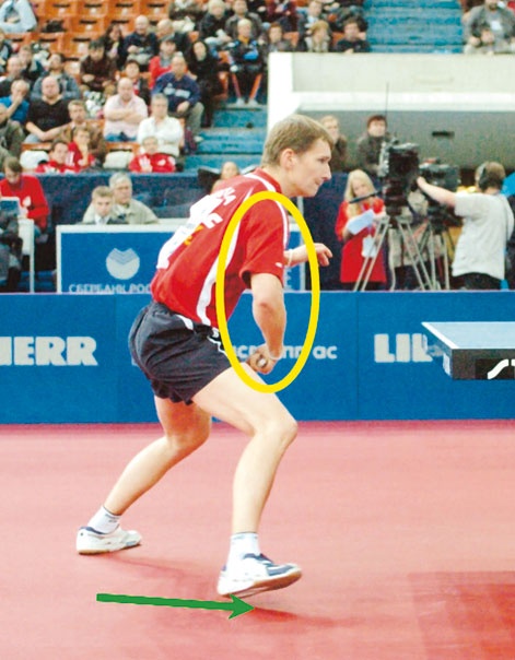 Иллюстрация к книге — Настольный теннис. Руководство от чемпиона мира [i_105.jpg]