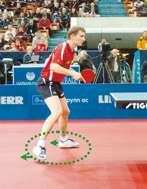 Иллюстрация к книге — Настольный теннис. Руководство от чемпиона мира [i_110.jpg]