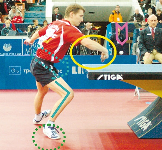 Иллюстрация к книге — Настольный теннис. Руководство от чемпиона мира [i_135.jpg]