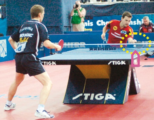 Иллюстрация к книге — Настольный теннис. Руководство от чемпиона мира [i_170.jpg]