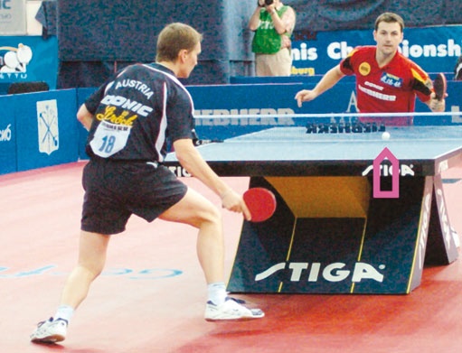 Иллюстрация к книге — Настольный теннис. Руководство от чемпиона мира [i_173.jpg]