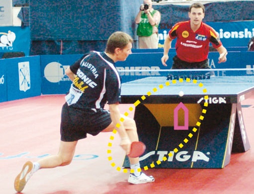 Иллюстрация к книге — Настольный теннис. Руководство от чемпиона мира [i_176.jpg]