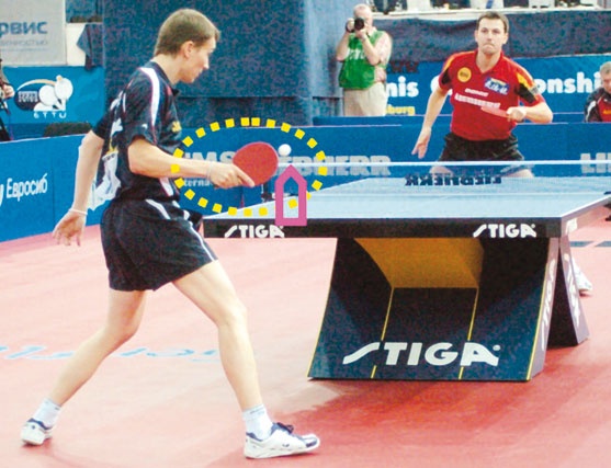 Иллюстрация к книге — Настольный теннис. Руководство от чемпиона мира [i_185.jpg]