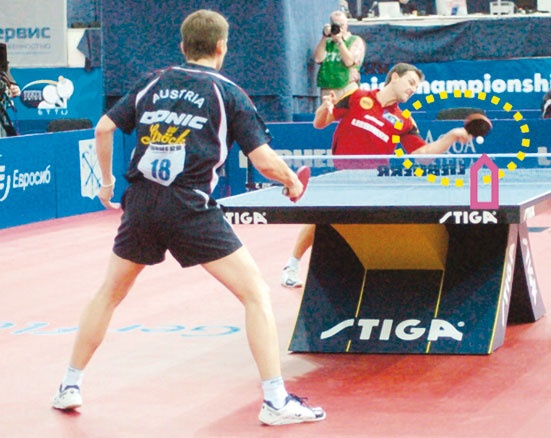 Иллюстрация к книге — Настольный теннис. Руководство от чемпиона мира [i_191.jpg]