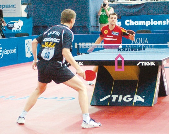 Иллюстрация к книге — Настольный теннис. Руководство от чемпиона мира [i_193.jpg]