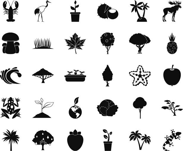 Иллюстрация к книге — Тренажер для мозга. Методики агентов спецслужб - развитие интеллекта, памяти и внимания [i_015.jpg]