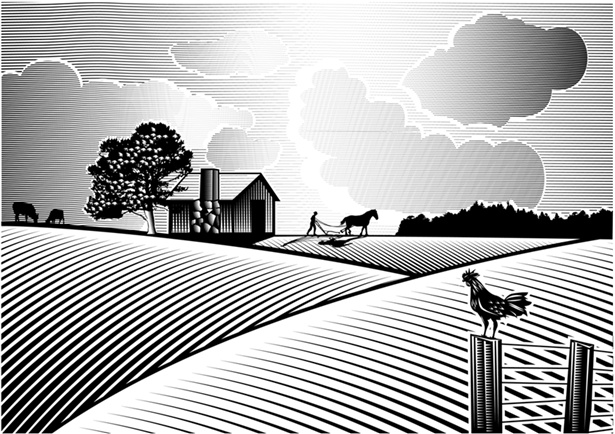 Иллюстрация к книге — Тренажер для мозга. Методики агентов спецслужб - развитие интеллекта, памяти и внимания [i_034.jpg]