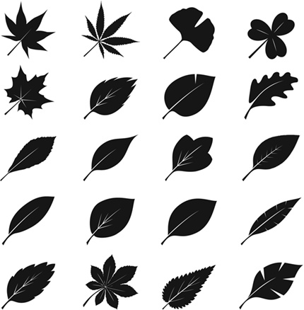 Иллюстрация к книге — Тренажер для мозга. Методики агентов спецслужб - развитие интеллекта, памяти и внимания [i_062.jpg]