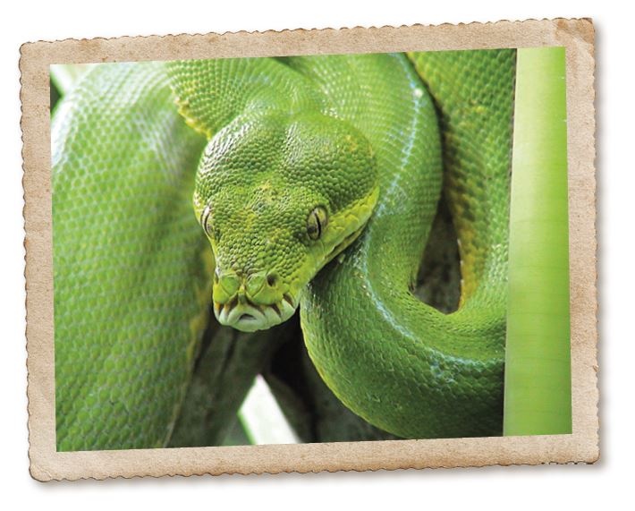 Иллюстрация к книге — Дикие истории. Дневник настоящего мужика [i_026.jpg]