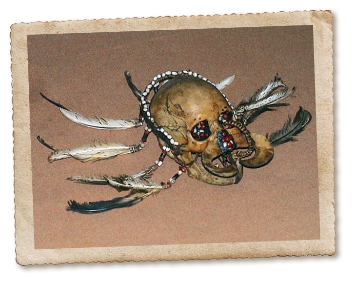 Иллюстрация к книге — Дикие истории. Дневник настоящего мужика [i_030.jpg]