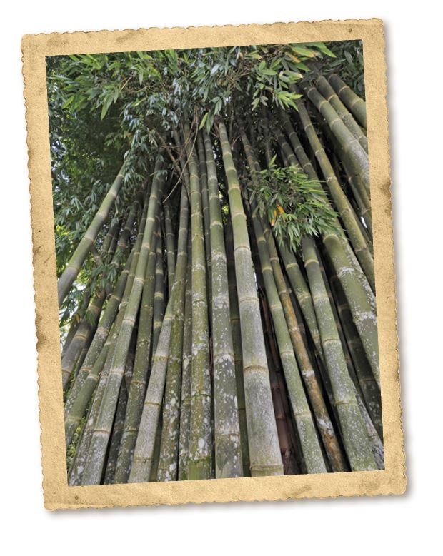 Иллюстрация к книге — Дикие истории. Дневник настоящего мужика [i_035.jpg]