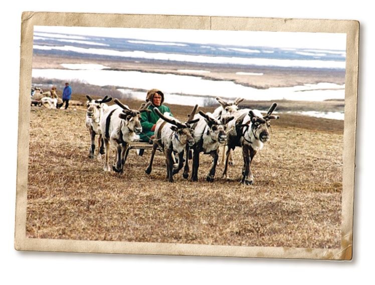 Иллюстрация к книге — Дикие истории. Дневник настоящего мужика [i_039.jpg]