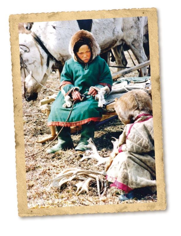 Иллюстрация к книге — Дикие истории. Дневник настоящего мужика [i_040.jpg]