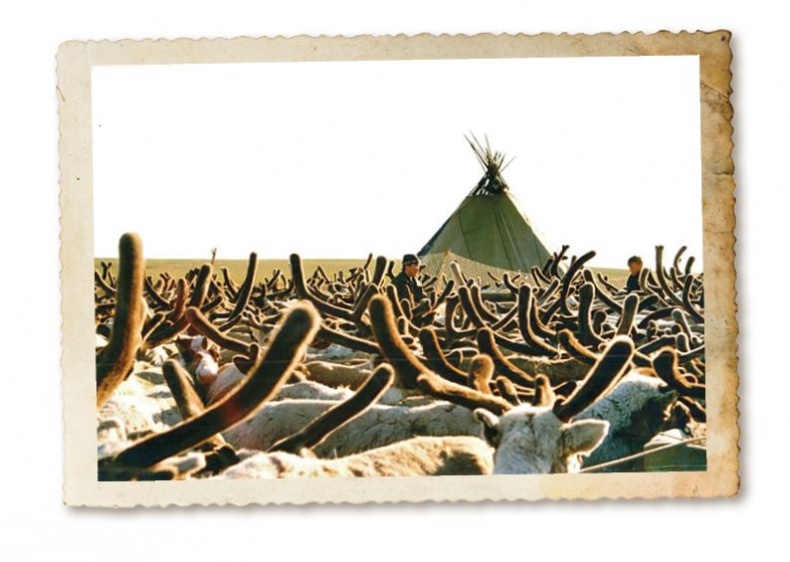 Иллюстрация к книге — Дикие истории. Дневник настоящего мужика [i_041.jpg]