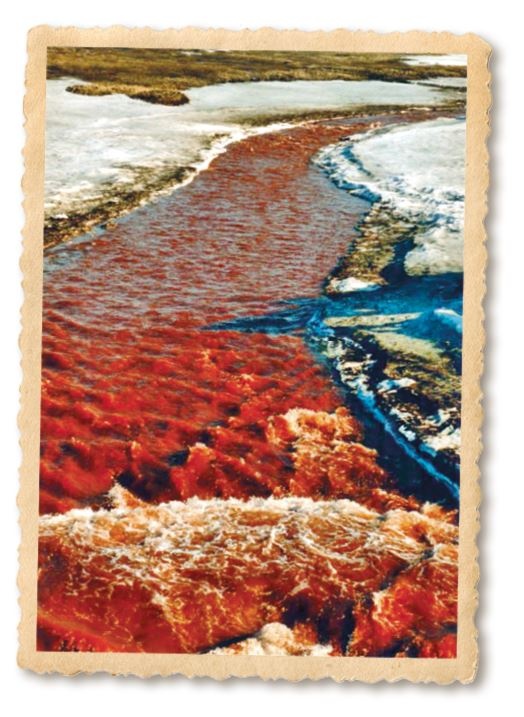 Иллюстрация к книге — Дикие истории. Дневник настоящего мужика [i_046.jpg]