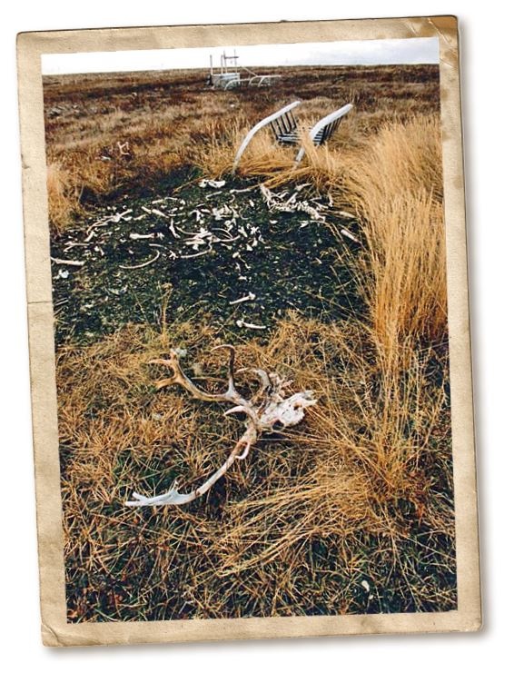 Иллюстрация к книге — Дикие истории. Дневник настоящего мужика [i_049.jpg]