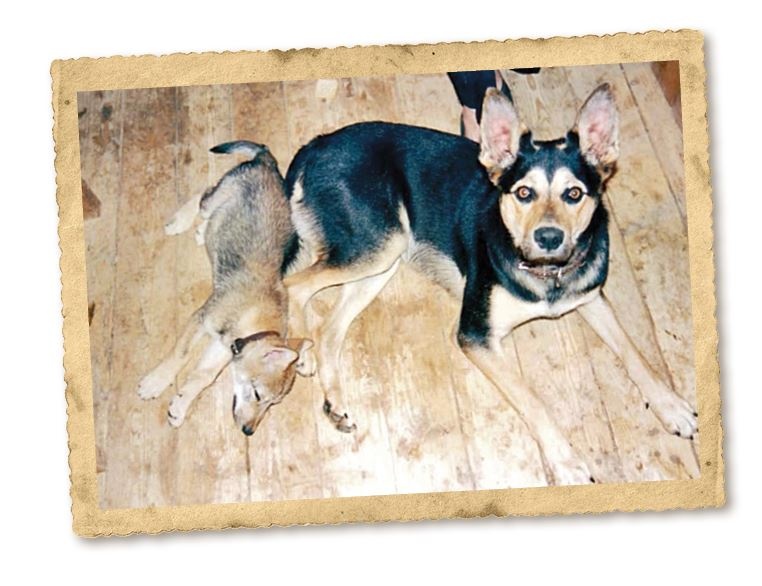 Иллюстрация к книге — Дикие истории. Дневник настоящего мужика [i_056.jpg]