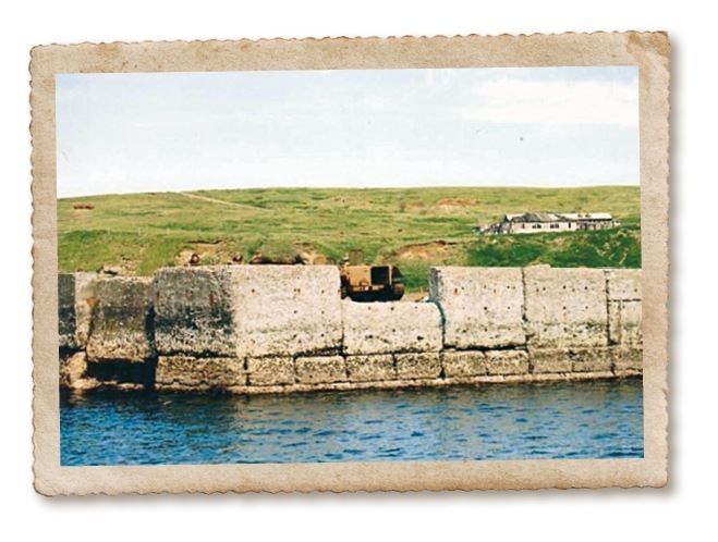 Иллюстрация к книге — Дикие истории. Дневник настоящего мужика [i_063.jpg]