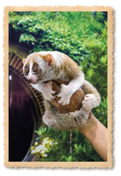 Иллюстрация к книге — Дикие истории. Дневник настоящего мужика [i_074.jpg]