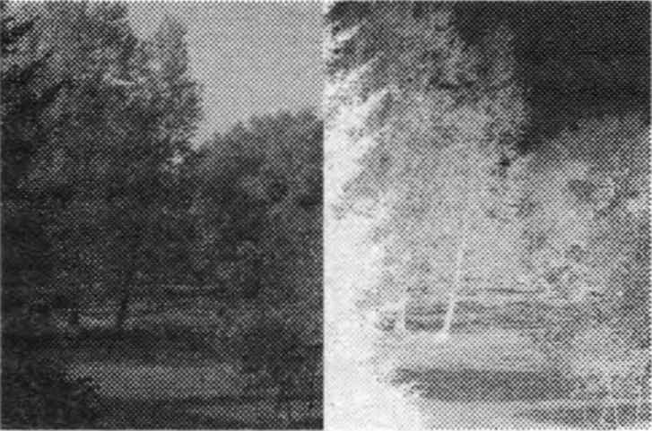 Иллюстрация к книге — Тайны квантового мира. О парадоксальности пространства и времени [i_038.jpg]