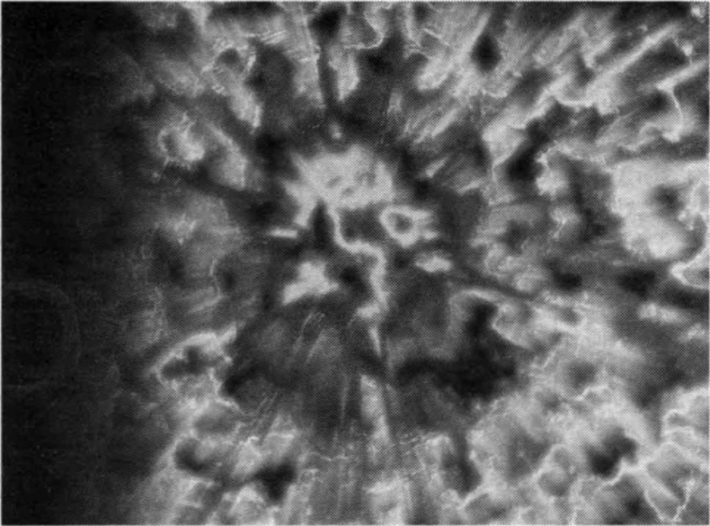 Иллюстрация к книге — Тайны квантового мира. О парадоксальности пространства и времени [i_045.jpg]