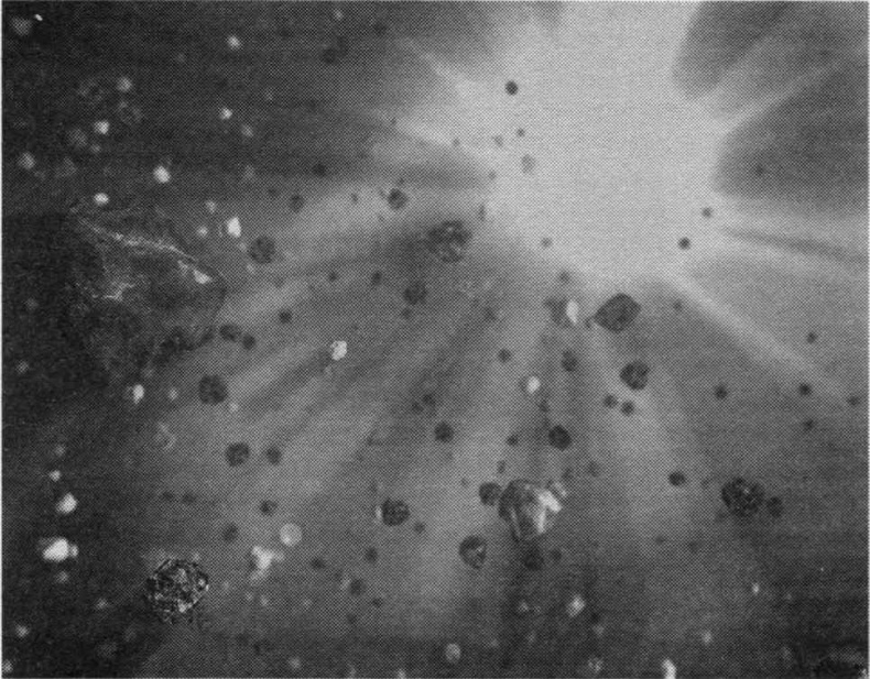 Иллюстрация к книге — Тайны квантового мира. О парадоксальности пространства и времени [i_053.jpg]