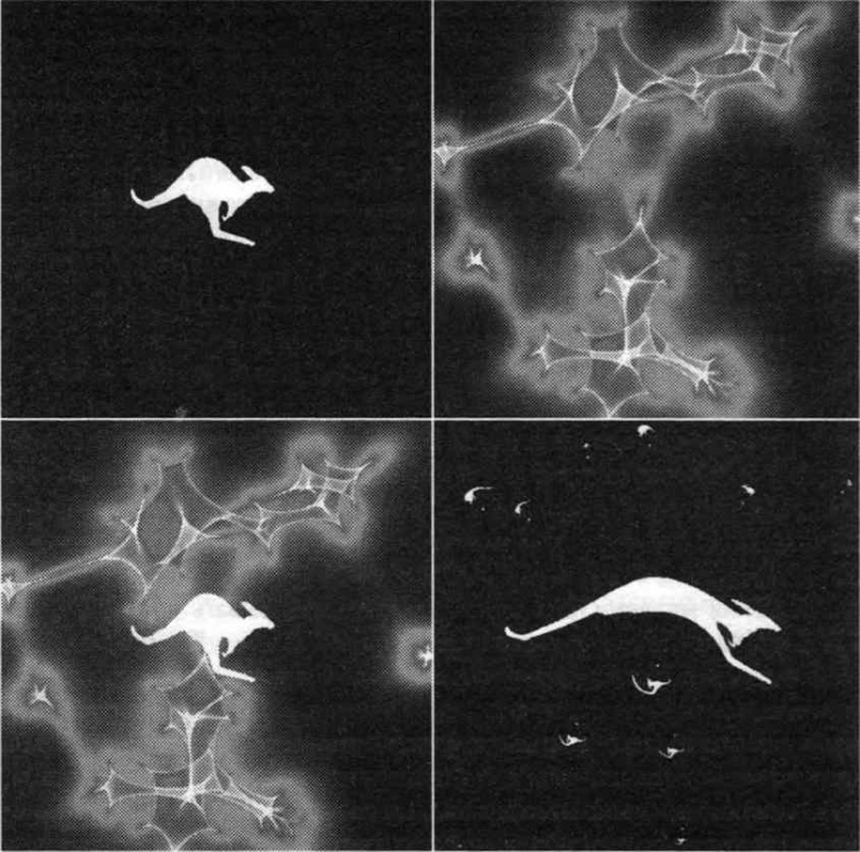 Иллюстрация к книге — Тайны квантового мира. О парадоксальности пространства и времени [i_062.jpg]