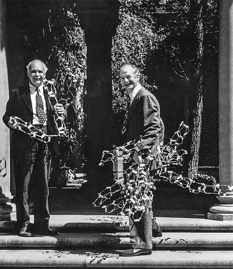 Иллюстрация к книге — ДНК. История генетической революции [i_020.jpg]