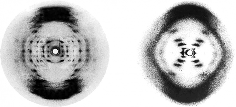 Иллюстрация к книге — ДНК. История генетической революции [i_023.jpg]