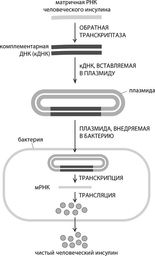 Иллюстрация к книге — ДНК. История генетической революции [i_058.jpg]