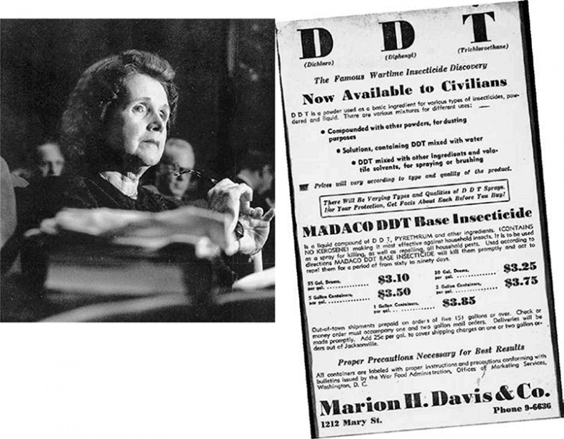 Иллюстрация к книге — ДНК. История генетической революции [i_063.jpg]