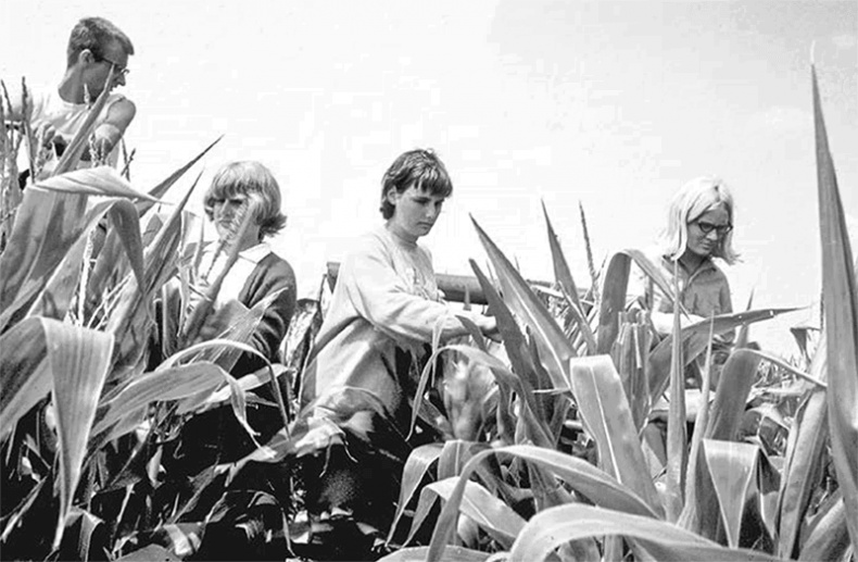 Иллюстрация к книге — ДНК. История генетической революции [i_066.jpg]