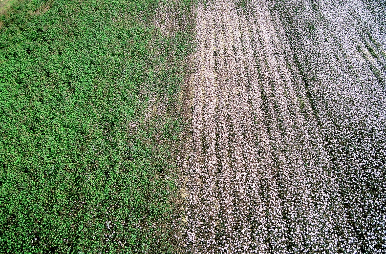 Иллюстрация к книге — ДНК. История генетической революции [i_069.jpg]