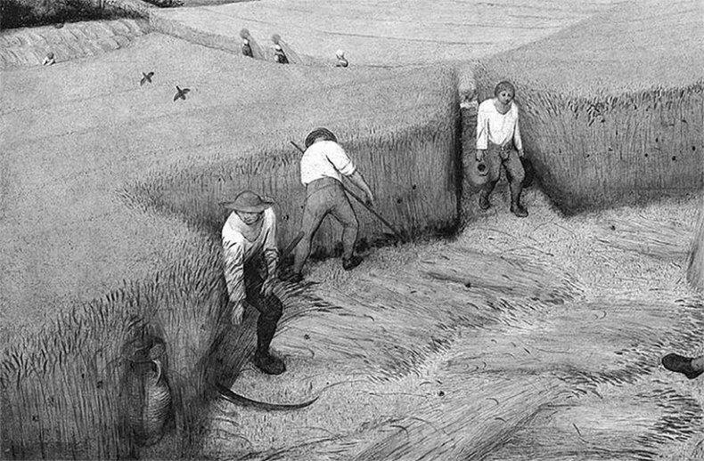 Иллюстрация к книге — ДНК. История генетической революции [i_070.jpg]